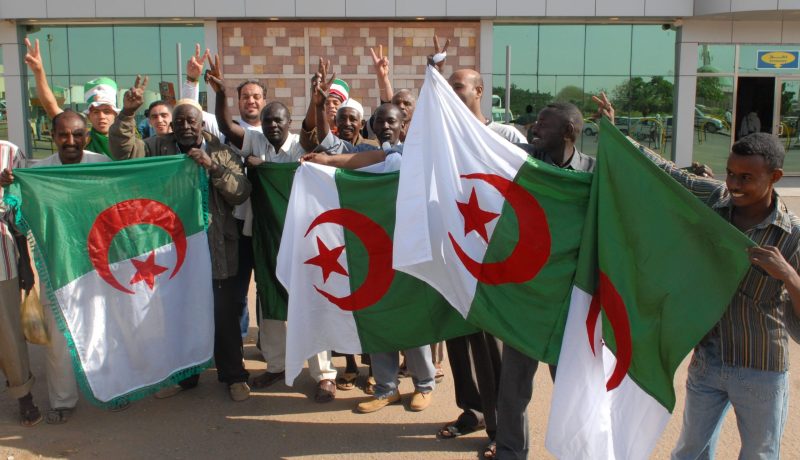 معاك يا الخضرا.. دارت حالة مع السودانيين، دعم مطلق لـ''محاربي الصحراء