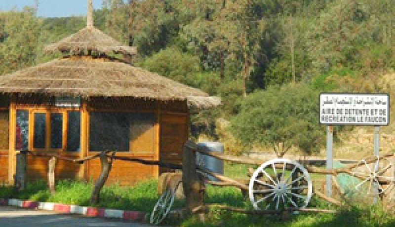 صنفت بموجب اتفاقية “رمصار” من المناطق الاستراتيجية الفريدة في العالم…أوروبا دعمتها ماديا وقننتها والجزائر أهملتها