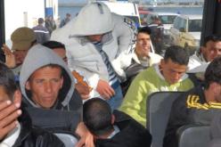 شبكات دولية بإسبانيا تهرب السيارات لدول إفريقية عبر الجزائر