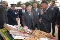 بوتفليقة يمسح ديون الفلاحين والموالين ويقرر إعادة شرائها