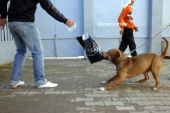 تجار خمور وبارونات شواطئ لتمويل الحملة الإنتخابية