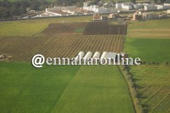 «تكليف ولّاة الجمهورية بدراسة أراضي العرش.. ولــن يتـــم تجريـــد أصحابهـــا منهـــا»