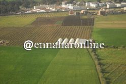 الجلفة..  “مير” بلدية الإدريسية يلغي قائمة المستفيدين من الأراضي الفلاحية