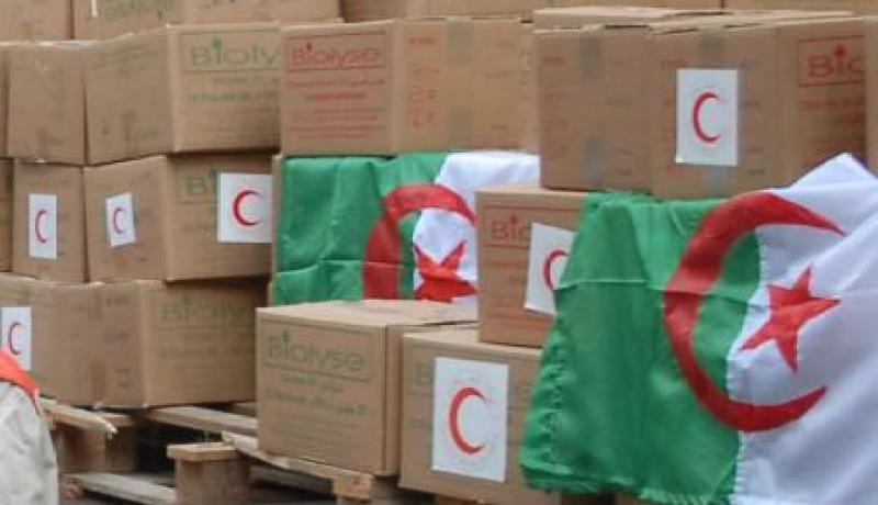 المساعدات الإنسانية الجزائرية تصل إلى أهالي غزة