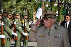 ڤايد صالح يطالب القوات المسلّحة بتعزيز جاهزيتها وترقية أدائها القتالي