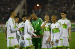 الفاف تقرر رسميا الاحتفاظ بنغيز وأعضاء الطاقم الفني لـ«الخضر» إلى غاية كان 2017