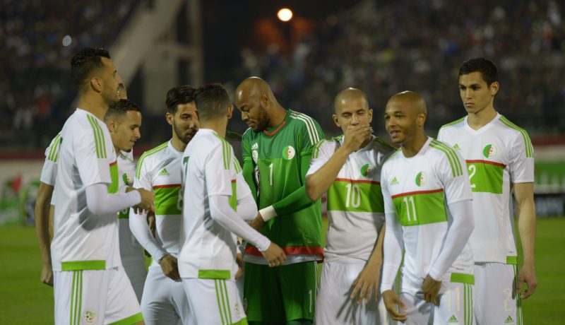 الفاف تقرر رسميا الاحتفاظ بنغيز وأعضاء الطاقم الفني لـ«الخضر» إلى غاية كان 2017