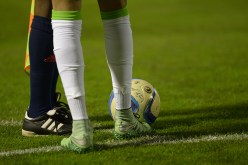 الشامبيونا.. مخروبة