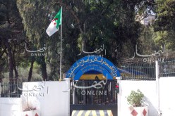 وزارة الصحة: تسجيل 41 حالة مؤكدة بالكوليرا