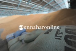 مخطط حكومي لوقف إستيراد القمح في 2022