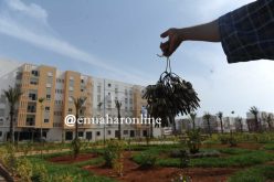 1200 عائلة ستحصل على مفاتيح سكنات “عدل” نهاية الأسبوع