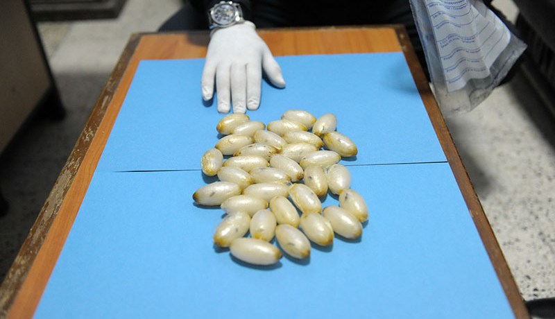 عصابة أمين الدولار المختصة في ترويج السبيتاكس تستأنف قرار إدانتهم أمام مجلس القضاء