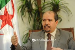 عيسى..توقيف الشيعة بالمطار رسالة قوية لمن أراد ضرب الجزائريين في مرجعيتهم