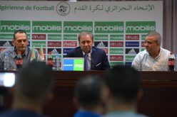 علي بن شيخ .. الجماهير الجزائرية اعتادت الوعود الكاذبة وراييفاتش من حقه أن يحلم بنصف نهائي المونديال