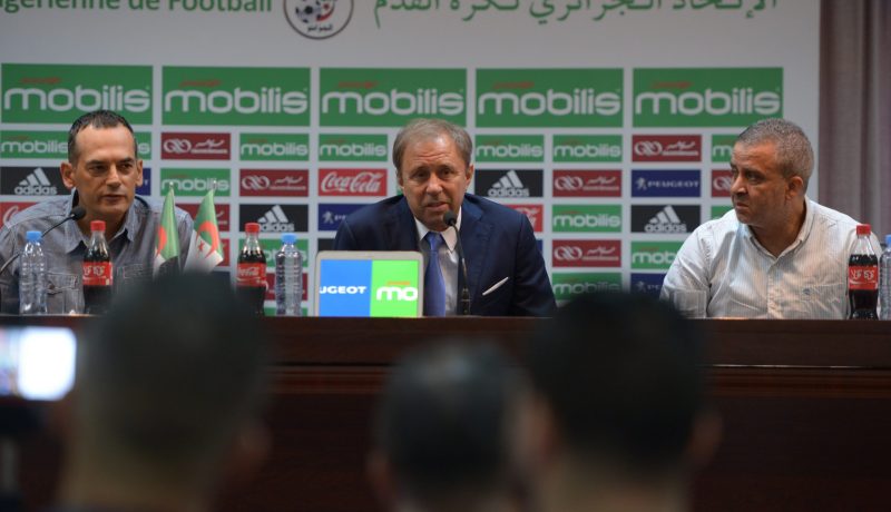 علي بن شيخ .. الجماهير الجزائرية اعتادت الوعود الكاذبة وراييفاتش من حقه أن يحلم بنصف نهائي المونديال