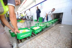 بوعزقي: تعليق نشاط 4 ملبنات وأسعار الحليب لن ترتفع