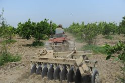 «قروض حلال لتمويل الفلاحين بالعتاد بداية من 2018»