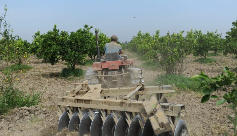 والي العاصمة يأمر بتعويض الفلاحين المتضررين من توسيع الطرقات