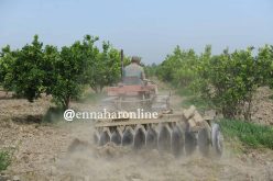 المزاد العلني لاستيراد المواد الفلاحية المصنّعة