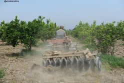 أوامر بفتح رأسمال 126 مزرعة نموذجية