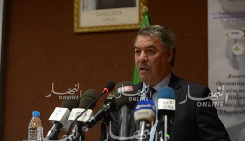 وزير التعليم العالي : إرسال 500 أستاذ سنويا إلى “الخارج” للتكوين