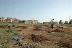 الميرالسابق لبئر خادم نهب عقارا من ضحية إرهاب!