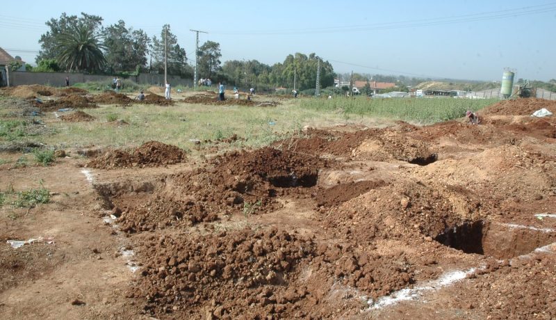 ثلث العقارات الخاضعة للمسح بالمحافظات العقـــاريـــة مسجلـــة باســـم مجهـــول