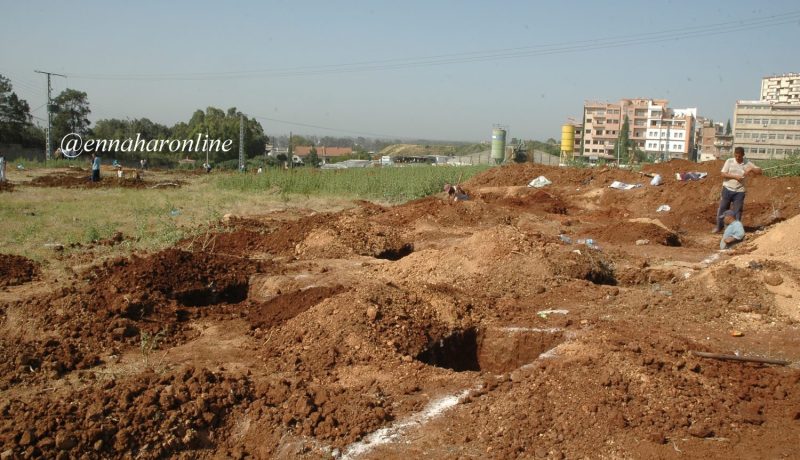 3 إخوة يقاضون شقيقهم الأكبر بتهمة الاستحواذ على قطعة أرض وشركة بالملايير