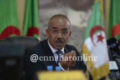 بدوي: سيتم خلق ديناميكية لتحسين الإطار المعيشي للمواطن