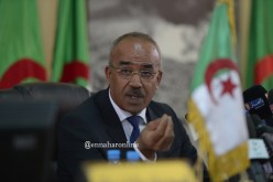 بدوي يشرع في زيارة إلى ألمانيا