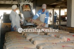 تصدير 200 ألف طن من “الإسمنت” لأوروبا