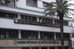 3 آلاف دينار زيادات جديدة في التأمين على السيارات.. قريبا