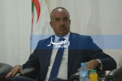 بدوي “الجزائر مثال يحتذى به في حرية التعبير”