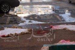 وزارة الصناعة تستحدث لجان ولائية لجمع جلود أضاحي العيد