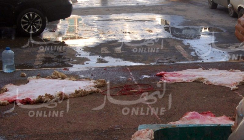 وزارة الصناعة تستحدث لجان ولائية لجمع جلود أضاحي العيد