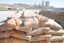 مصنع الإسمنت بأدرار يصدر 950 طن للنيجر