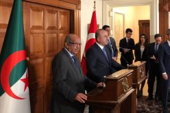 مساهل من أنقرة: 797 شركة تركية تعمل في الجزائر توظف 28 ألفا و434 شخصاً