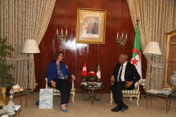 بدوي يبحث وسفيرة سويسرا تعزيز التعاون بين البلدين
