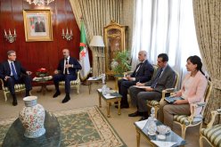 بدوي يستقبل نائب رئيس البنك الدولي لمنطقة الشرق الأوسط وشمال إفريقيا