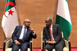 الجزائر تجدد إلتزامها بالشراكة وإستكمالها المشاريع المهيكلة بين نيجيريا