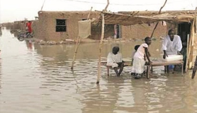 هلاك 4 أشخاص وأكثر من 20 ألف متضرر جراء فيضانات في النيجر