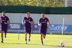 غزال يندمج في تدريبات “الفيولا”
