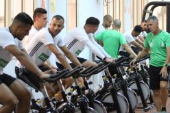 بالفيديو- “ألكاراز” يبدأ التخطيط للإطاحة بـ”زامبيا”