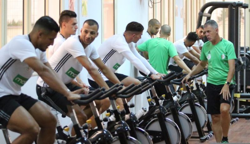 بالفيديو- “ألكاراز” يبدأ التخطيط للإطاحة بـ”زامبيا”