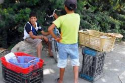 لوح يكشف عقوبات للأولياء الذين يسمحون لأبنائهم بالعمل في سن مبكرة