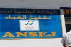 تسجيل ارتفاع بنسبة 180 بالمائة في مجال تمويل مشاريع تشغيل الشباب خلال سنة 2011