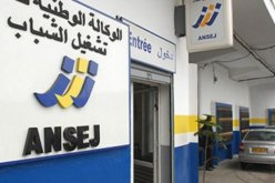 «150 ألف مؤسسة أونساج مهددة بالإفلاس»