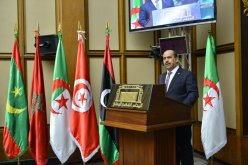 شنين: اتحاد المغرب العربي ضرورة إستراتيجية