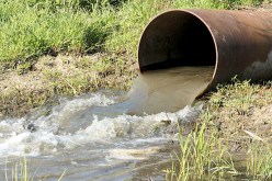 العثور على حقول مسقية بمياه «الزيقو» في تيارت وباتنة والبليدة !