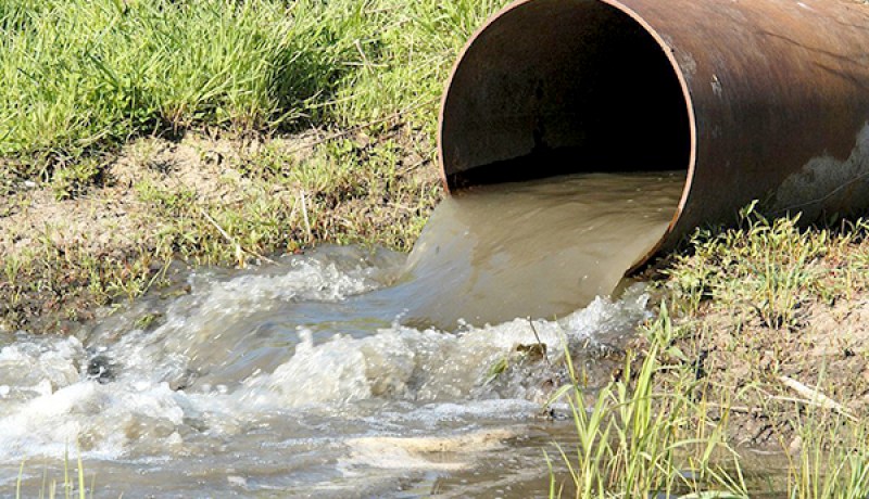 العثور على حقول مسقية بمياه «الزيقو» في تيارت وباتنة والبليدة !